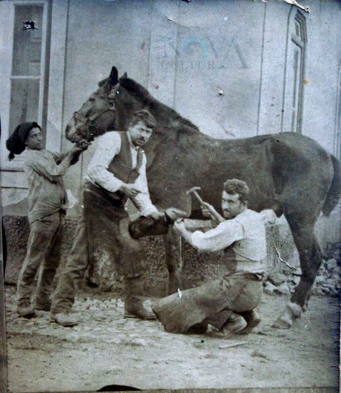 Cavalo ferrado no Cantinho do Cu
