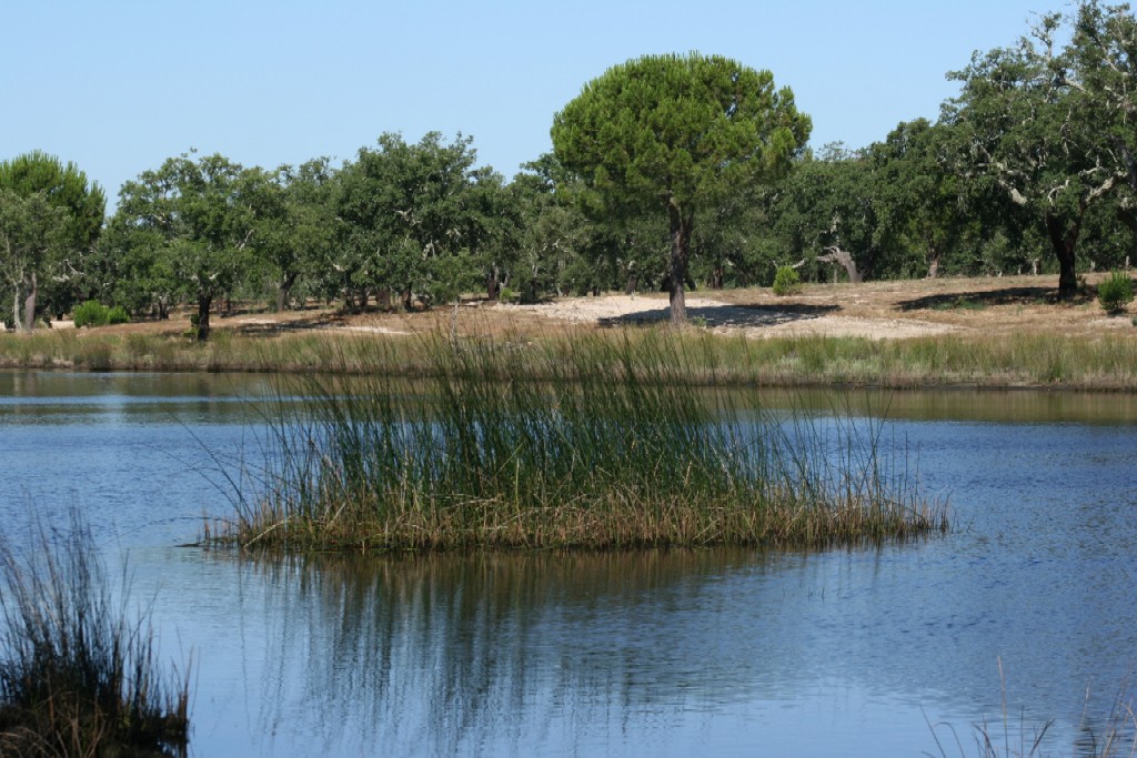 Barragem de Mouzeiro