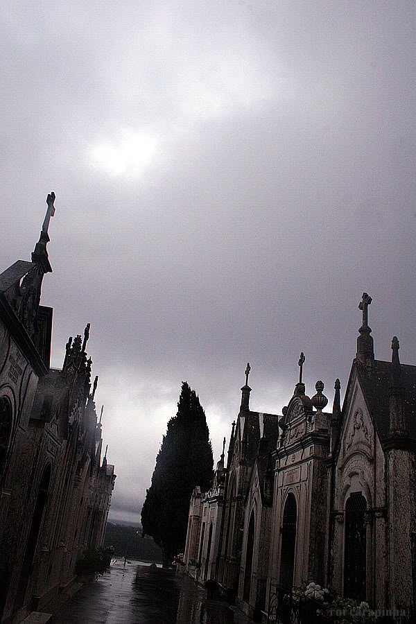 Cemitrio de Montargil