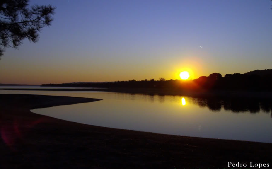 Imagens de Pedro Lopes