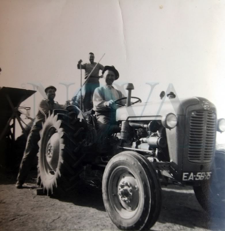 trabalhos agr�colas em Montargil